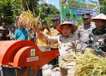 Gubernur Al Haris: Pemprov dan Pemkab Bersinergi Benahi Sistem Pertanian Agar Hasil Meningkat
