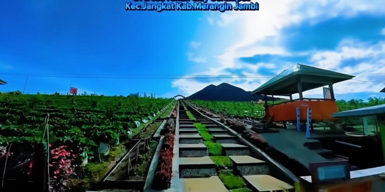 Keren! Farenza Garden Merangin Masuk Nominasi Anugerah Pesona Indonesia Award 2025
