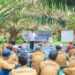 Ratusan Petani Mitra PTPN IV PalmCo Segera Kantongi Sertifikasi RSPO