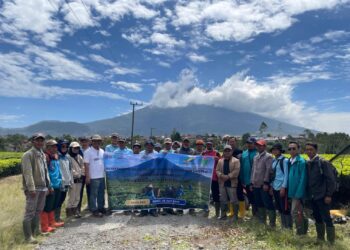 PTPN IV Regional 4 Latih Pemetik Teh Gunakan Teknologi Modern