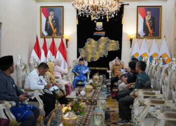 Audensi dengan BRIN, Gubernur Al Haris Bahas Penguatan Peran BRIDA