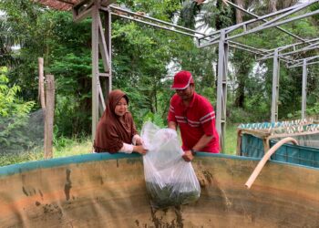 PTPN IV Regional 4 Dukung Pendidikan Kejuruan, Serahkan 3.000 Bibit Ikan Nila ke SMK PP Negeri Jambi