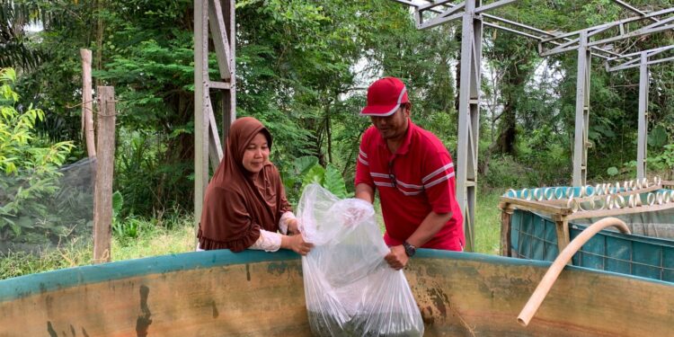 PTPN IV Regional 4 Dukung Pendidikan Kejuruan, Serahkan 3.000 Bibit Ikan Nila ke SMK PP Negeri Jambi