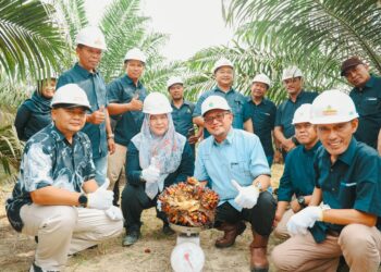 Holding Perkebunan Nusantara Intesifkan Produktivitas Melalui Peremajaan Sawit Berkelanjutan