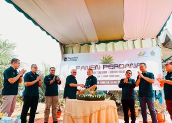 Komitmen Dukung Asta Cita, Holding Perkebunan Nusantara Pacu Produktivitas Sawit Hingga 7 Ton per Hektare