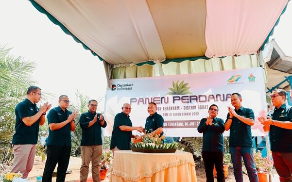 Komitmen Dukung Asta Cita, Holding Perkebunan Nusantara Pacu Produktivitas Sawit Hingga 7 Ton per Hektare