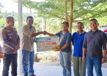 Holding Perkebunan Nusantara Dorong Sinergi PTPN IV Regional III dan Petani Jagung di Siak untuk Bangun Kemandirian Pangan   