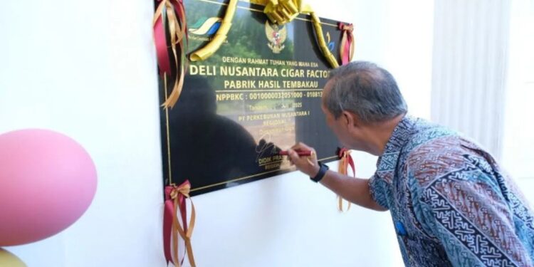 Holding Perkebunan Perkuat Hilirisasi, PTPN I Luncurkan Pabrik Cerutu Tembakau Deli