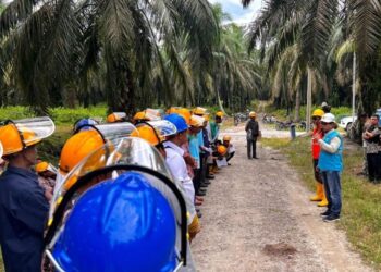 Holding Perkebunan Nusantara dan PLN Kolaborasi Edukasi K3 untuk Pemanen Sawit di PTPN IV PalmCo