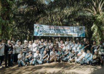 Holding Perkebunan Nusantara Jadi Rujukan Nasional, Petani Sawit dari Tiga Provinsi Studi Banding ke PTPN IV PalmCo
