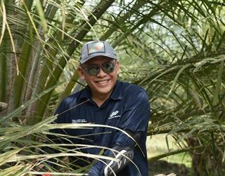 Komitmen Dukung Asta Cita, Holding Perkebunan Nusantara Dorong Anak Usaha Intensifikasi Produktivitas Melalui Peremajaan