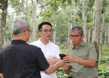 Holding Perkebunan Nusantara Dorong PTPN I Optimalkan Peluang di Tengah Tren Potensi Kenaikan Harga Karet