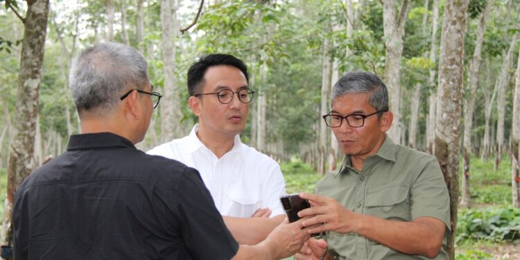 Holding Perkebunan Nusantara Dorong PTPN I Optimalkan Peluang di Tengah Tren Potensi Kenaikan Harga Karet