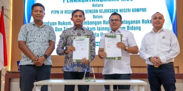 Jaga Investasi Berkelanjutan, Holding Perkebunan Nusantara melalui PTPN IV Regional III Perkuat Sinergi dengan Kejari Kampar