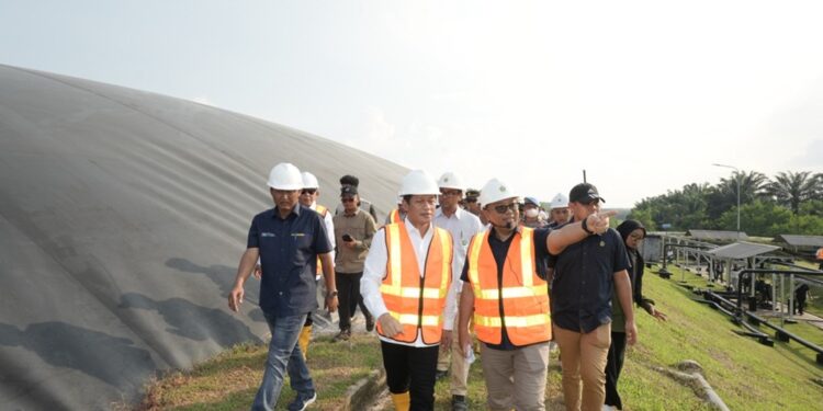 Pemerintah Minta Gapki Dorong Perusahaan Sawit Tiru PTPN Group Perkuat Dekarbonisasi