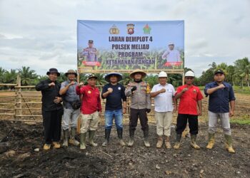 Holding Perkebunan Nusantara Dukung Asta Cita, PTPN IV Regional V–Polsek Meliau Tanam Jagung 1 Hektare