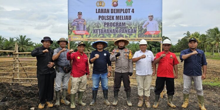 Holding Perkebunan Nusantara Dukung Asta Cita, PTPN IV Regional V–Polsek Meliau Tanam Jagung 1 Hektare