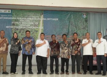 Holding Perkebunan Nusantara Dorong Peremajaan Sawit Rakyat Lewat Kemitraan Offtaker di Muara Enim