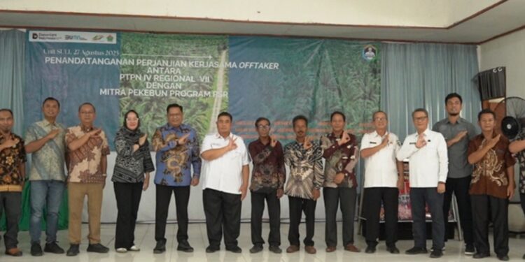 Holding Perkebunan Nusantara Dorong Peremajaan Sawit Rakyat Lewat Kemitraan Offtaker di Muara Enim