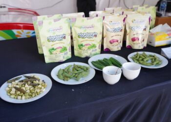 PTPN I Kembangkan Edamame dan Okra, Wujudkan Strategi Diversifikasi Holding Perkebunan Nusantara