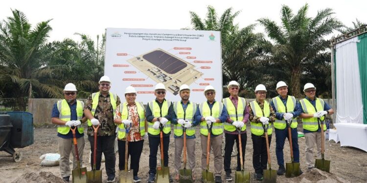 Langkah Strategis PalmCo, Subholding Perkebunan Nusantara Dorong Energi Terbarukan dan Dekarbonisasi