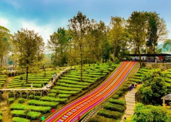 Agrowisata Gunung Mas PTPN I Regional 2 Siap Menjadi Ikon Wisata Berkelas Dunia, Holding Perkebunan Nusantara Perkuat Ekonomi Lokal