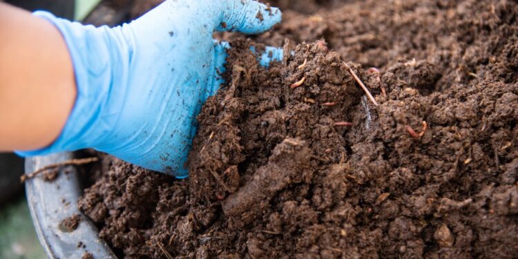 Holding Perkebunan Nusantara Perkuat Circular Economy, PalmCo Kaji Pupuk Organik