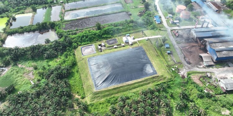 PTPN IV: Rp150 Ribu Bisa Beli Karbon Selamatkan Lingkungan