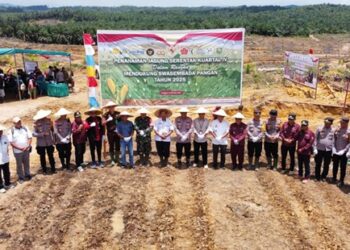Dukung Swasembada Pangan Nasional, Holding Perkebunan Nusantara Melalui PTPN IV Regional V dan Polres Sanggau Gelar Penanaman Jagung Kuartal IV Serentak di Kembayan