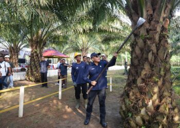 Hari Pangan Nasional 2025: PTPN IV Perkuat Ketahanan Pangan Lewat Sinergi dengan Sawit Rakyat