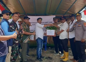 Holding Perkebunan Nusantara Melalui PTPN IV Regional V Dukung Pemda Tekan Inflasi dengan Serahkan 500 Bibit Cabai Rawit