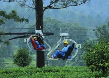 PTPN I Regional 2 Maksimalkan Aset Alam Jadi Sumber Nilai Tambah Baru bagi Holding Perkebunan Nusantara