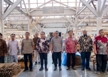 Holding Perkebunan Nusantara Dorong Hilirisasi, Direktur Keuangan PTPN I Tinjau Kebun Tembakau Cerutu Jember