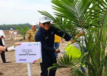 Holding Perkebunan Nusantara Perkuat Ketahanan Pangan Nasional, PTPN IV PalmCo Dorong Peremajaan Sawit dan Integrasi Tanaman Pangan