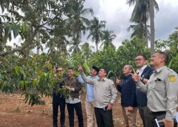 Holding Perkebunan Nusantara Dukung Hilirisasi, PTPN I Regional 7 Siap Jalankan Mandat