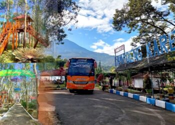Diversifikasi Usaha, Holding Perkebunan Nusantara Optimalkan Kebun Karet Tak Produktif Jadi Agrowisata Edukatif