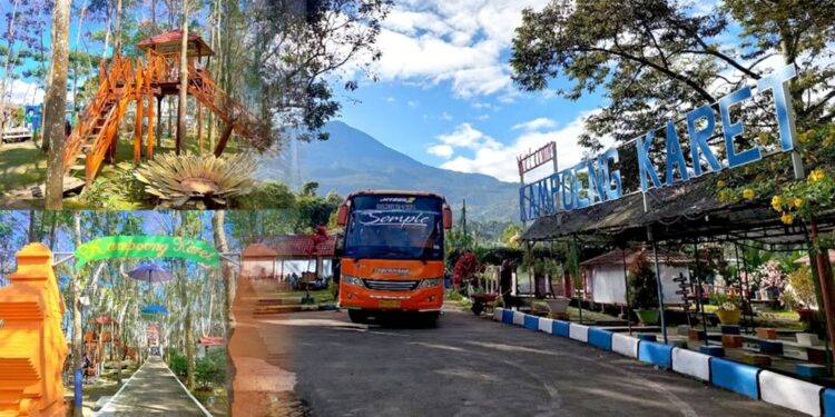 Diversifikasi Usaha, Holding Perkebunan Nusantara Optimalkan Kebun Karet Tak Produktif Jadi Agrowisata Edukatif