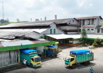 Jejak 100 Tahun Kebun Teh Kayu Aro Kerinci