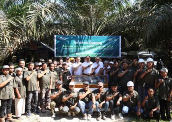 Holding Perkebunan Nusantara Dukung Sawit Berkelanjutan, Koperasi Makarti Jaya Raih Sertifikasi RSPO Pertama