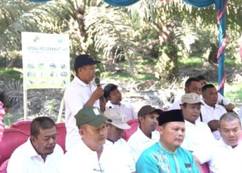 PalmCo, Subholding Holding Perkebunan Nusantara, Jadi “Pahlawan Baru” Ekonomi Rakyat