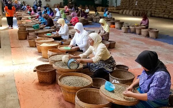 Holding Perkebunan Nusantara Hadapi Dampak Insiden Kaligedang terhadap Buruh dan Citra Bondowoso Republik Kopi