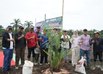Dukung Asta Cita, PTPN IV Regional 4 Tanam Perdana Sawit Hasil PSR 