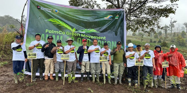 PTPN IV Regional IV Tanam 2.000 Pohon di Kaki Gunung Kerinci