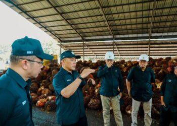 PalmCo Subholding di Bawah Holding Perkebunan Nusantara Sabet Dua Penghargaan Tertinggi GRC & Leadership Award 2025
