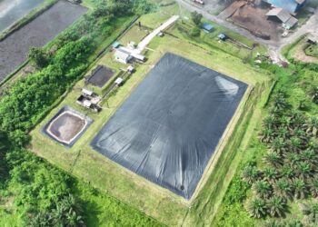 PTPN IV PalmCo Borong Dua Penghargaan ESG 2025, Tegaskan Komitmen Keberlanjutan Holding Perkebunan Nusantara