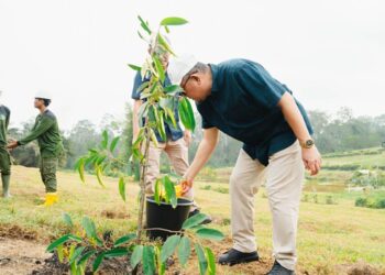 Holding Perkebunan Nusantara Tegaskan Komitmen Lingkungan Lewat Program Penghijauan PalmCo di Riau