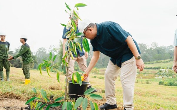 Holding Perkebunan Nusantara Tegaskan Komitmen Lingkungan Lewat Program Penghijauan PalmCo di Riau
