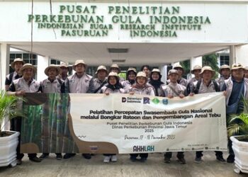 PT RPN Selenggarakan Pelatihan Bongkar Ratoon, Holding Perkebunan Nusantara Perkuat Kompetensi SDM Pergulaan