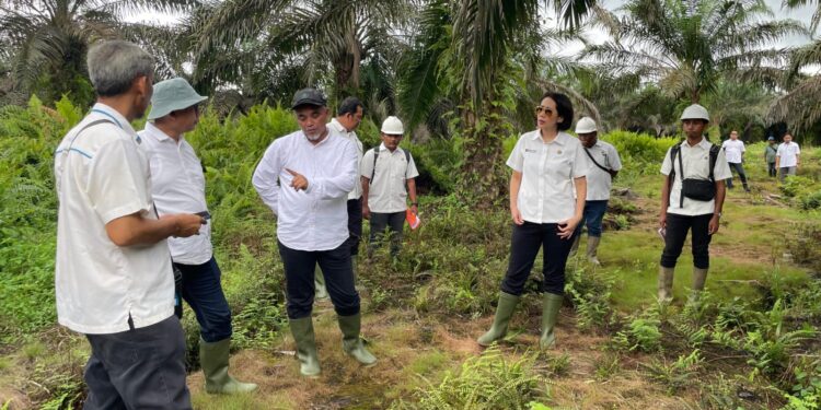 Direksi Palmco Pastikan Target Produksi PTPN IV Regional 4 Tercapai