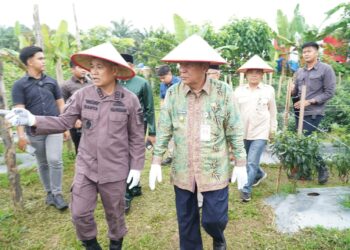 Hadiri Panen Jagung, Wagub Sani Dukung Program Perkuat Kedaulatan Pangan Daerah dan Nasional